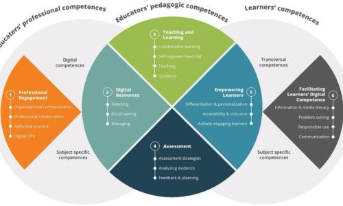 Leadership and digital capacity building